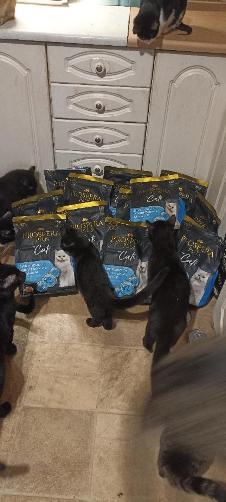 Domov Kulíšek z. s.